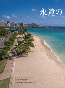 全頁PDF（低い_ページ_029