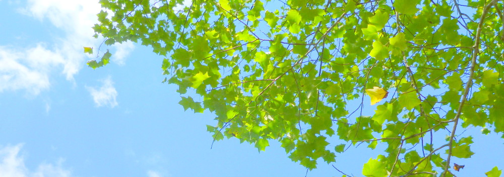 HOPE CLUB　～オーナー会～